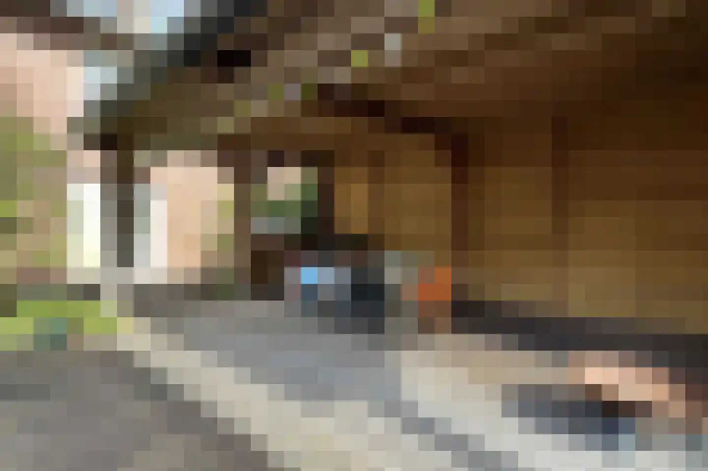 Soestdijkseweg Noord 422 Bilthoven thumbnail 75