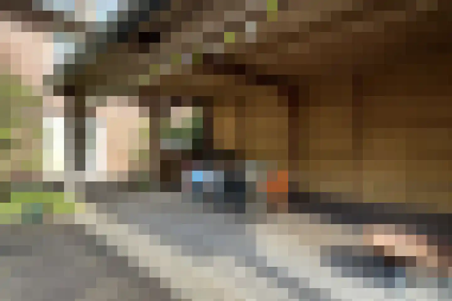Soestdijkseweg Noord 422 Bilthoven thumbnail 75