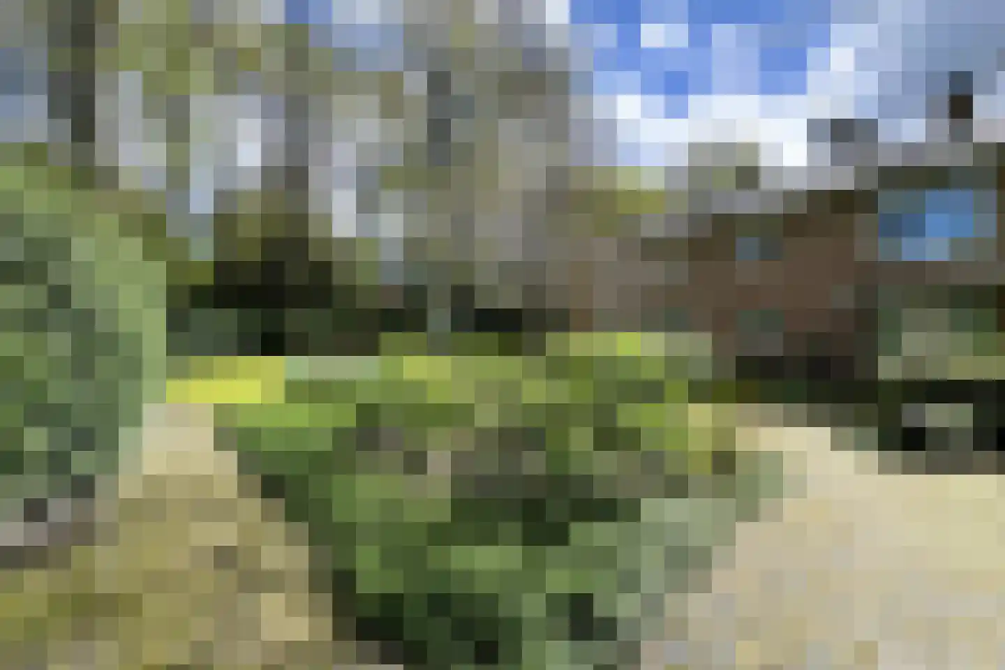 Soestdijkseweg Noord 422 Bilthoven thumbnail 8