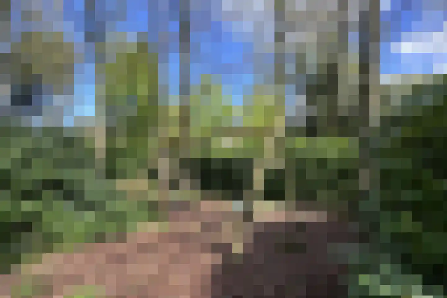 Soestdijkseweg Noord 422 Bilthoven thumbnail 95