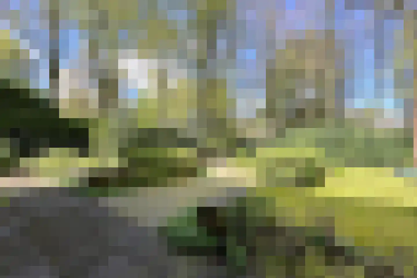 Soestdijkseweg Noord 422 Bilthoven thumbnail 96