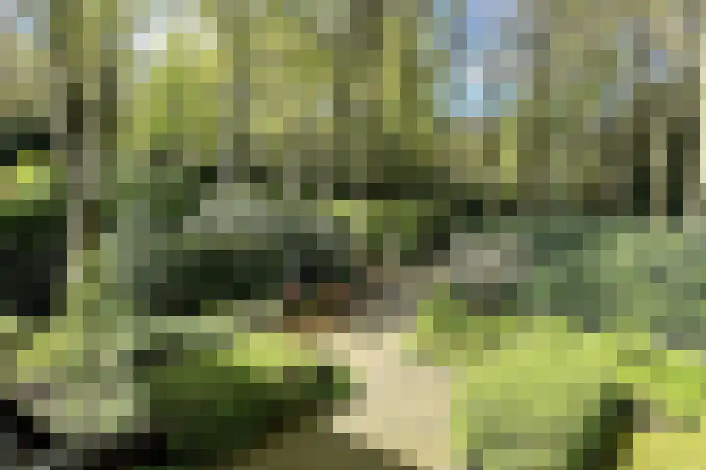Soestdijkseweg Noord 422 Bilthoven thumbnail 99