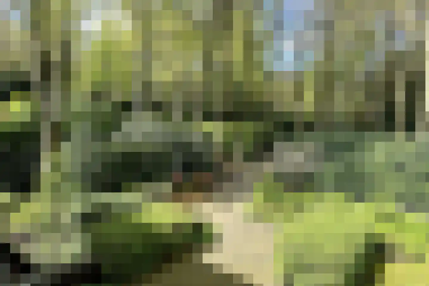 Soestdijkseweg Noord 422 Bilthoven thumbnail 99