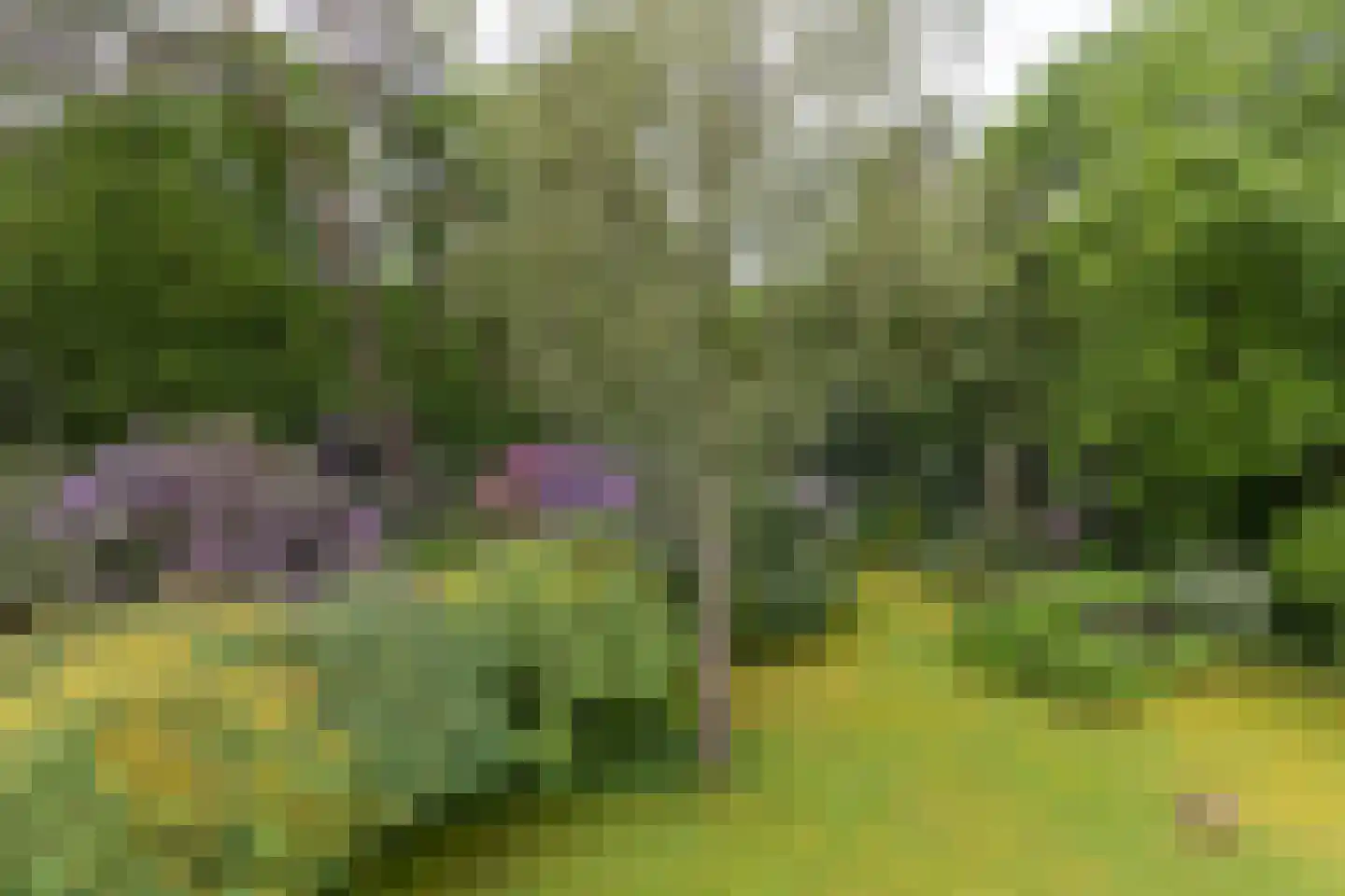 Soestdijkseweg Noord 423 Bilthoven thumbnail 21