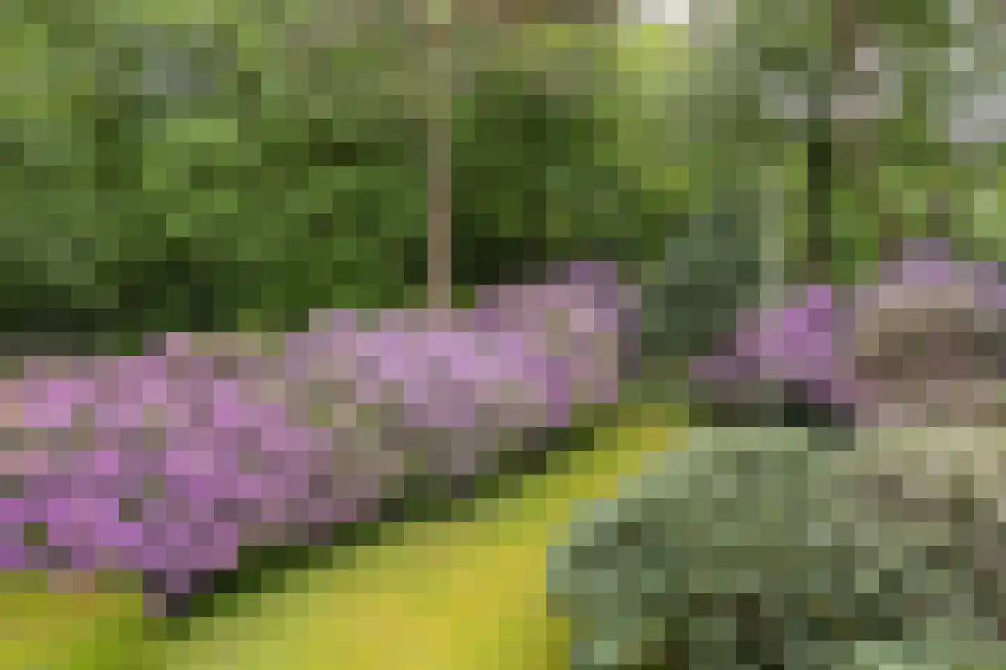 Soestdijkseweg Noord 423 Bilthoven thumbnail 29