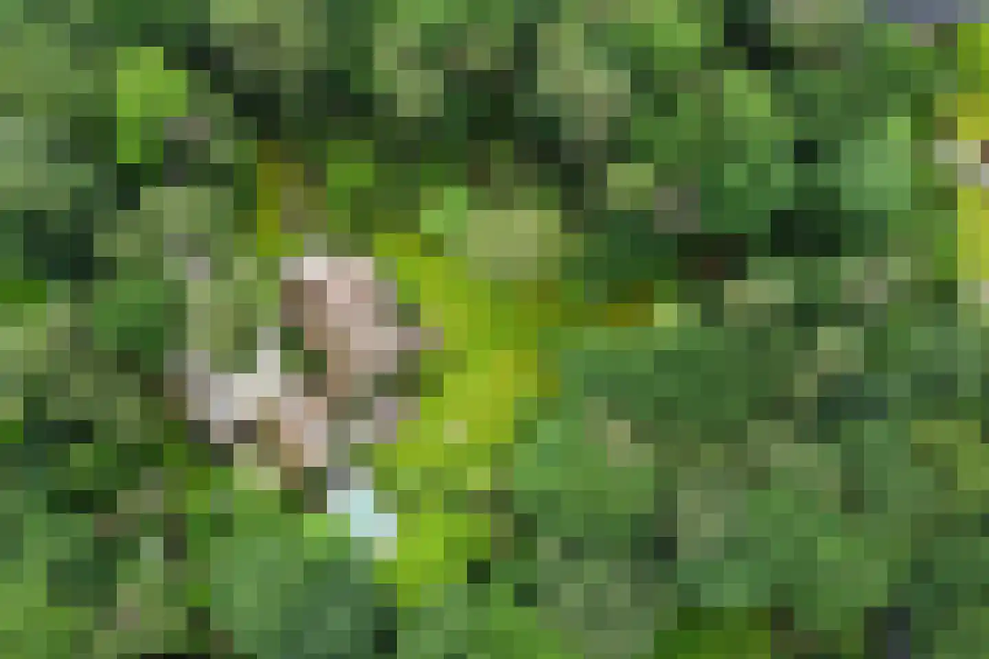 Soestdijkseweg Noord 423 Bilthoven thumbnail 39