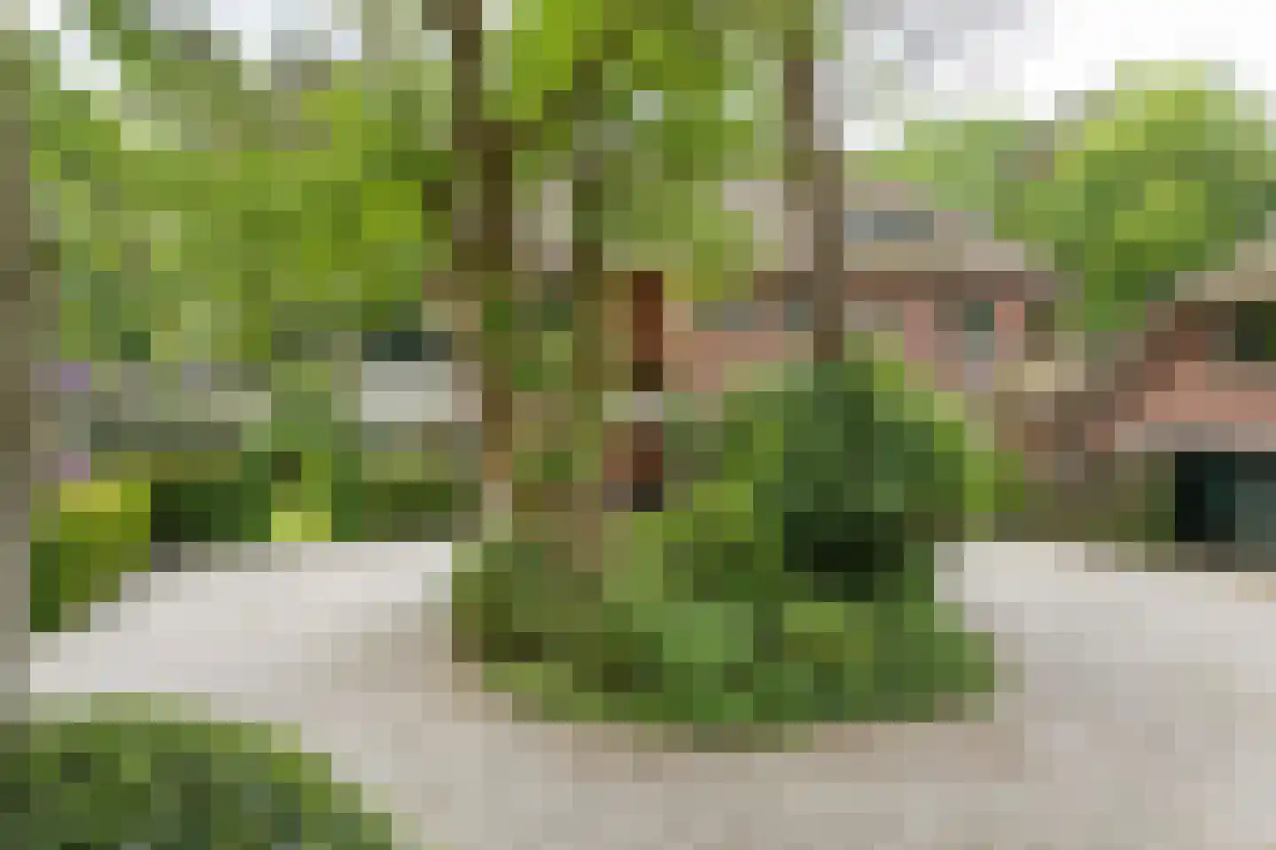 Soestdijkseweg Noord 423 Bilthoven thumbnail 4