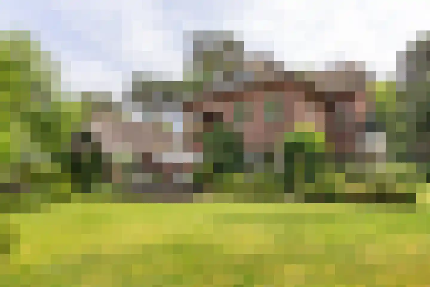 Soestdijkseweg Noord 423 Bilthoven thumbnail 40