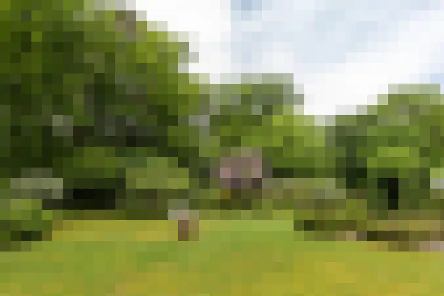 Soestdijkseweg Noord 423 Bilthoven thumbnail 42