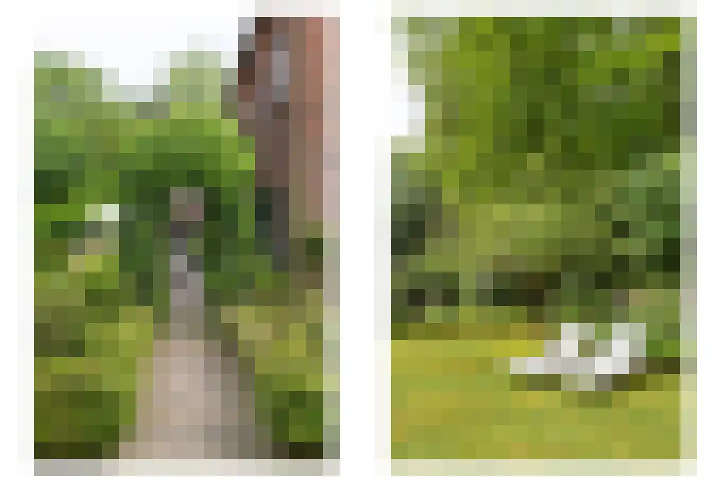 Soestdijkseweg Noord 423 Bilthoven thumbnail 44