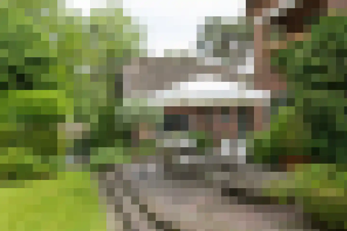 Soestdijkseweg Noord 423 Bilthoven thumbnail 45