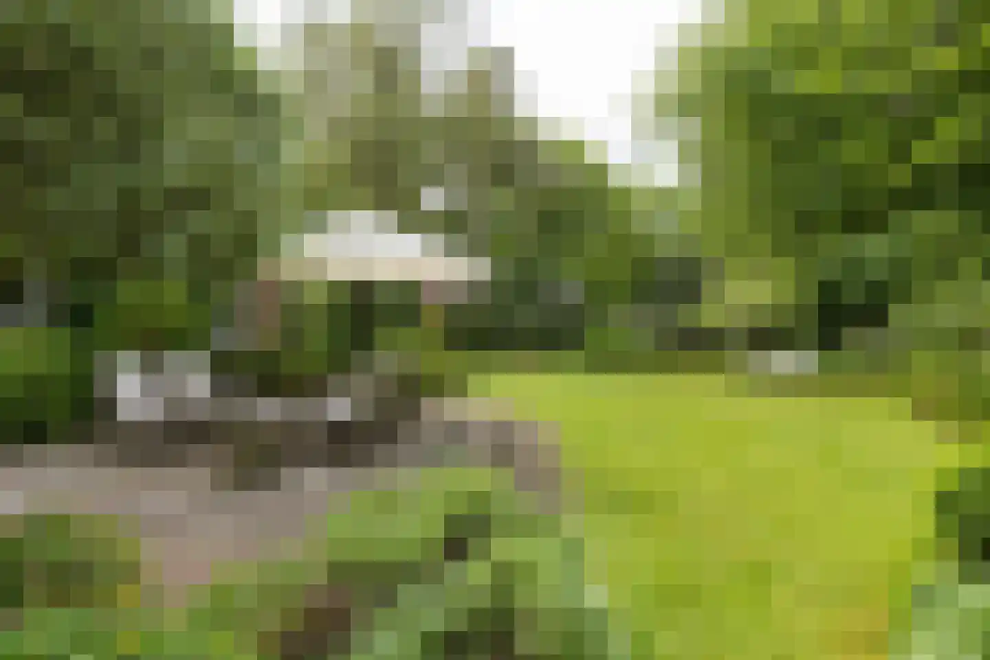 Soestdijkseweg Noord 423 Bilthoven thumbnail 48