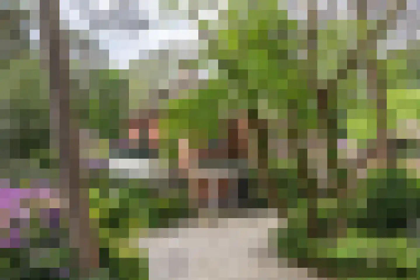 Soestdijkseweg Noord 423 Bilthoven thumbnail 49