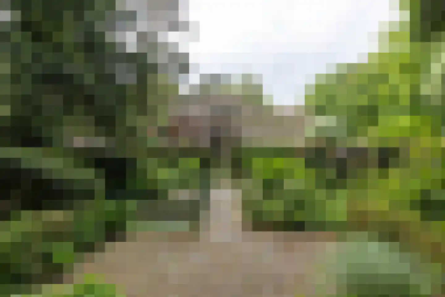 Soestdijkseweg Noord 423 Bilthoven thumbnail 50