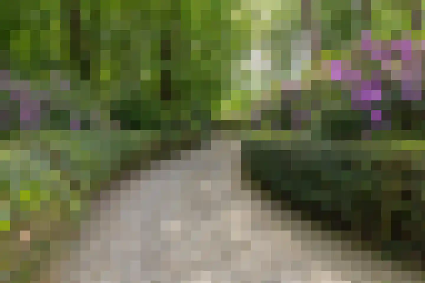Soestdijkseweg Noord 423 Bilthoven thumbnail 51