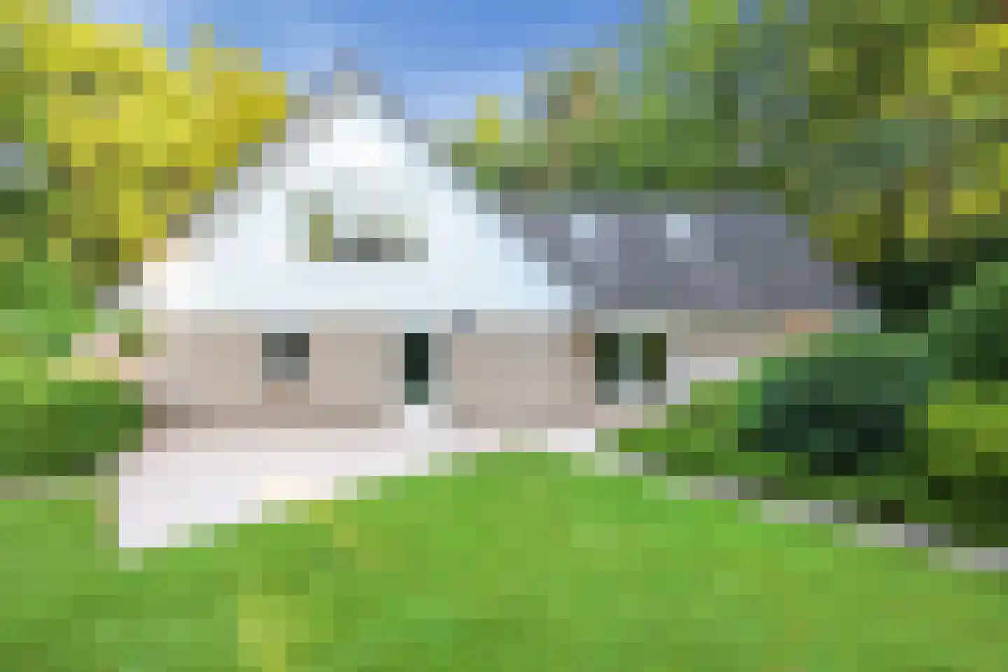 Soestdijkseweg Noord 424 Bilthoven thumbnail 17