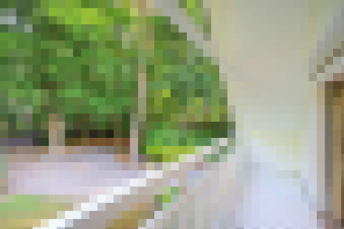 Soestdijkseweg Noord 424 Bilthoven thumbnail 33