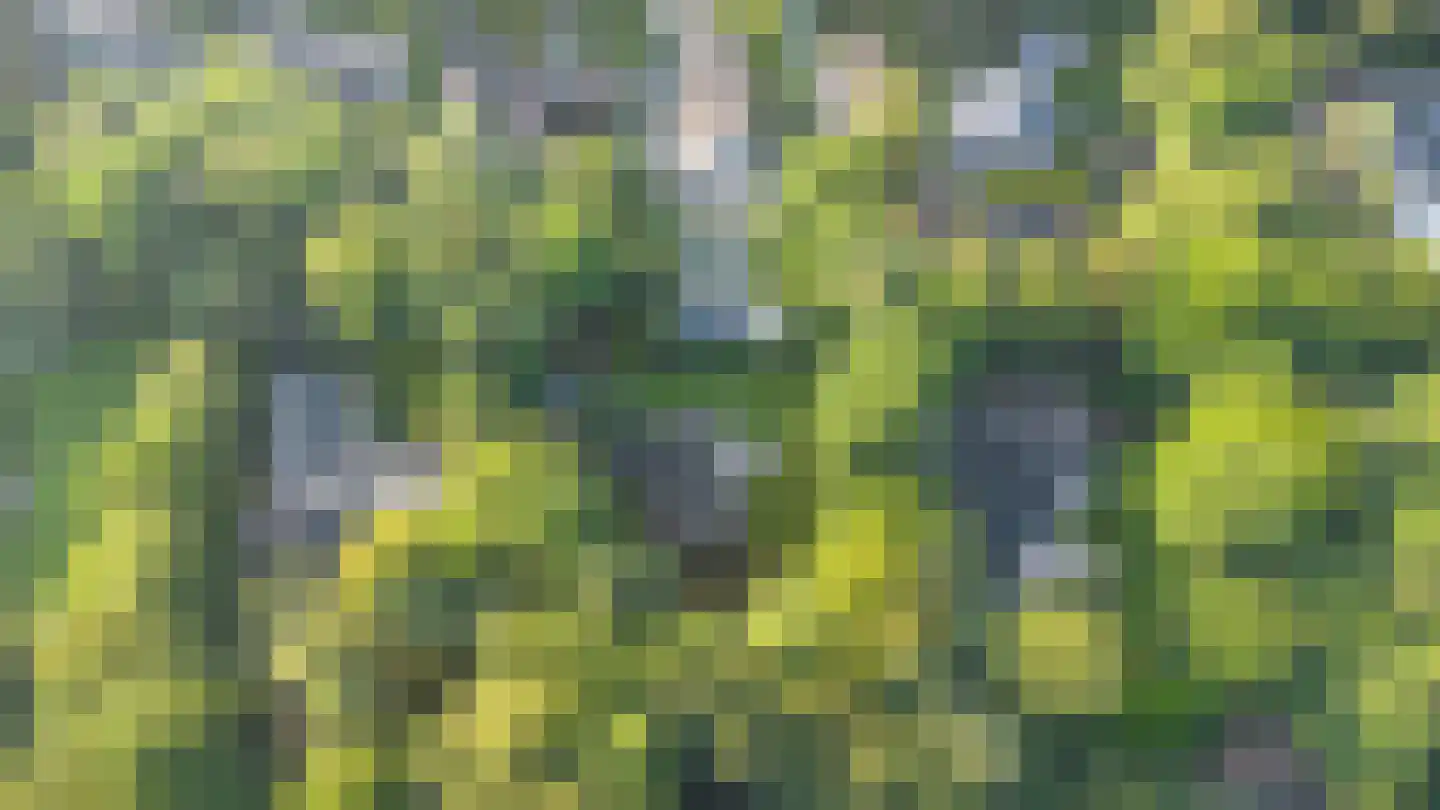 Soestdijkseweg Noord 424 Bilthoven thumbnail 56