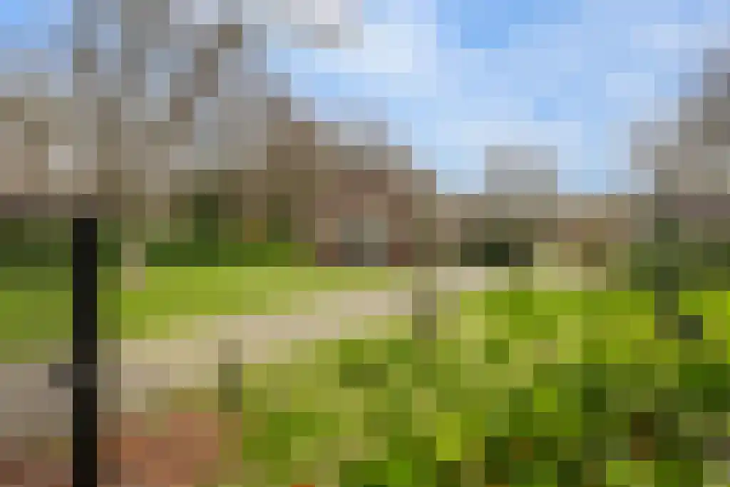 Soestdijkseweg Noord 496 Bilthoven thumbnail 29