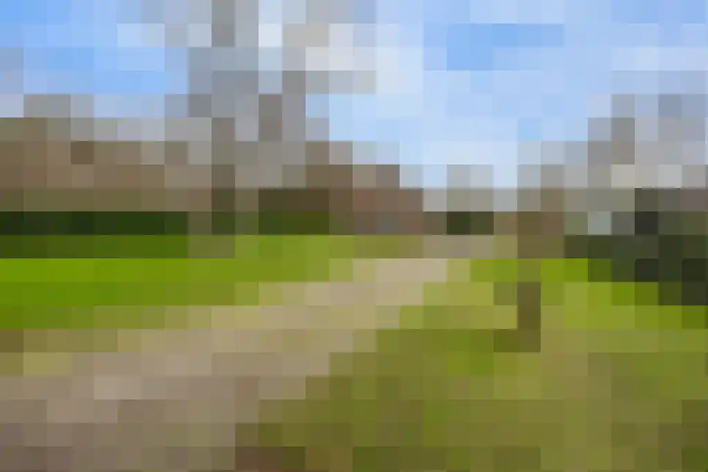 Soestdijkseweg Noord 496 Bilthoven thumbnail 30