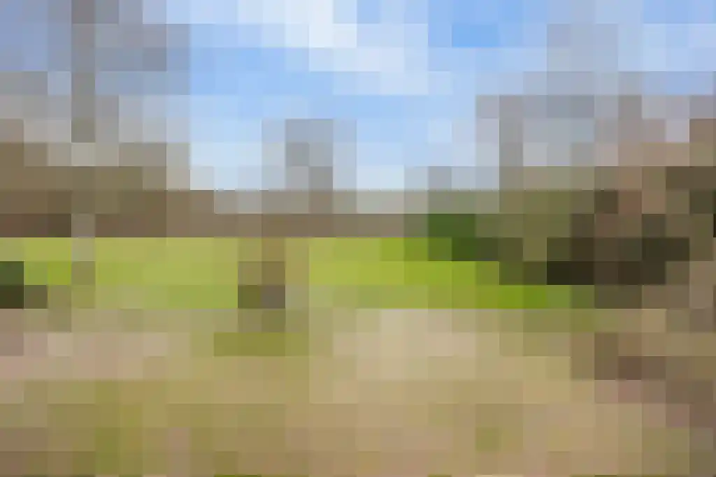 Soestdijkseweg Noord 496 Bilthoven thumbnail 34