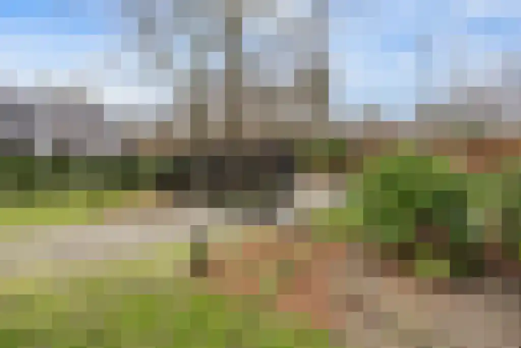 Soestdijkseweg Noord 496 Bilthoven thumbnail 37