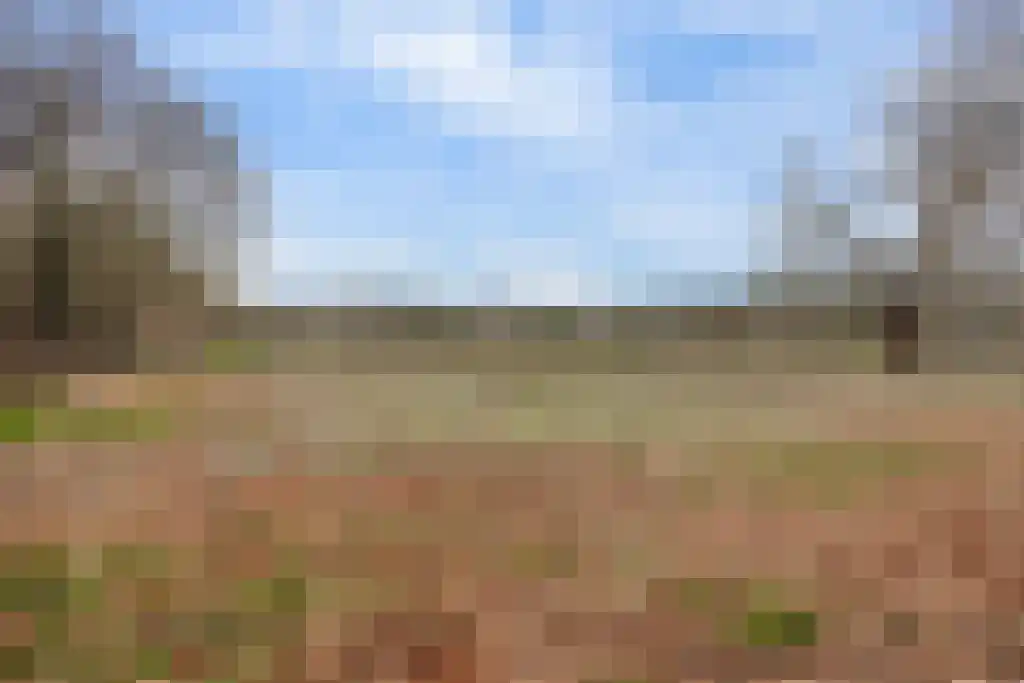 Soestdijkseweg Noord 496 Bilthoven thumbnail 41