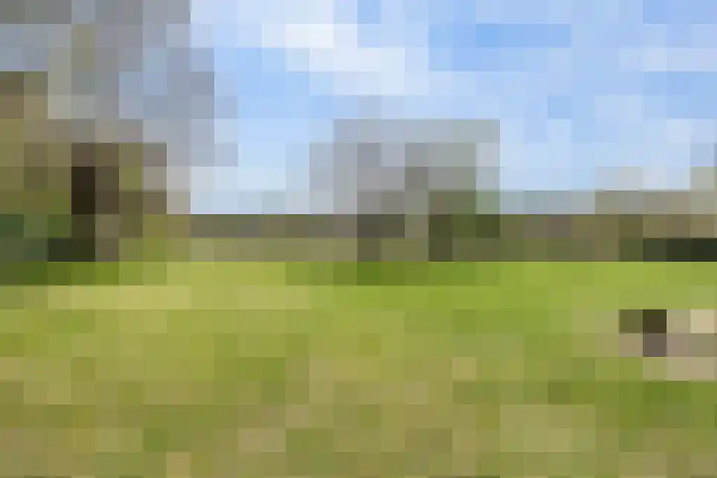 Soestdijkseweg Noord 496 Bilthoven thumbnail 5