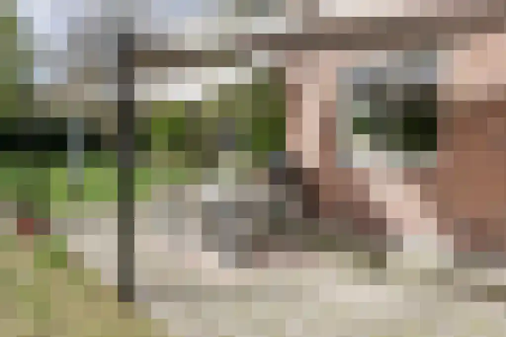 Soestdijkseweg Noord 496 Bilthoven thumbnail 62