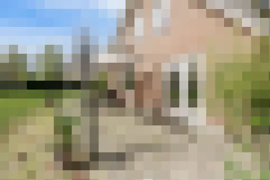 Soestdijkseweg Noord 496 Bilthoven thumbnail 63