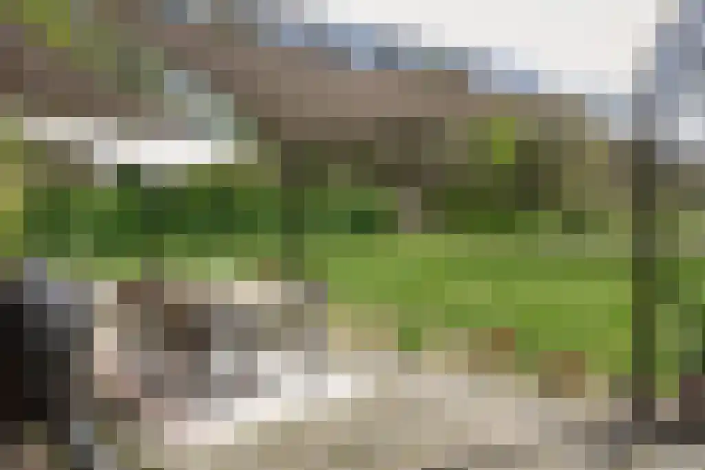 Soestdijkseweg Noord 496 Bilthoven thumbnail 64