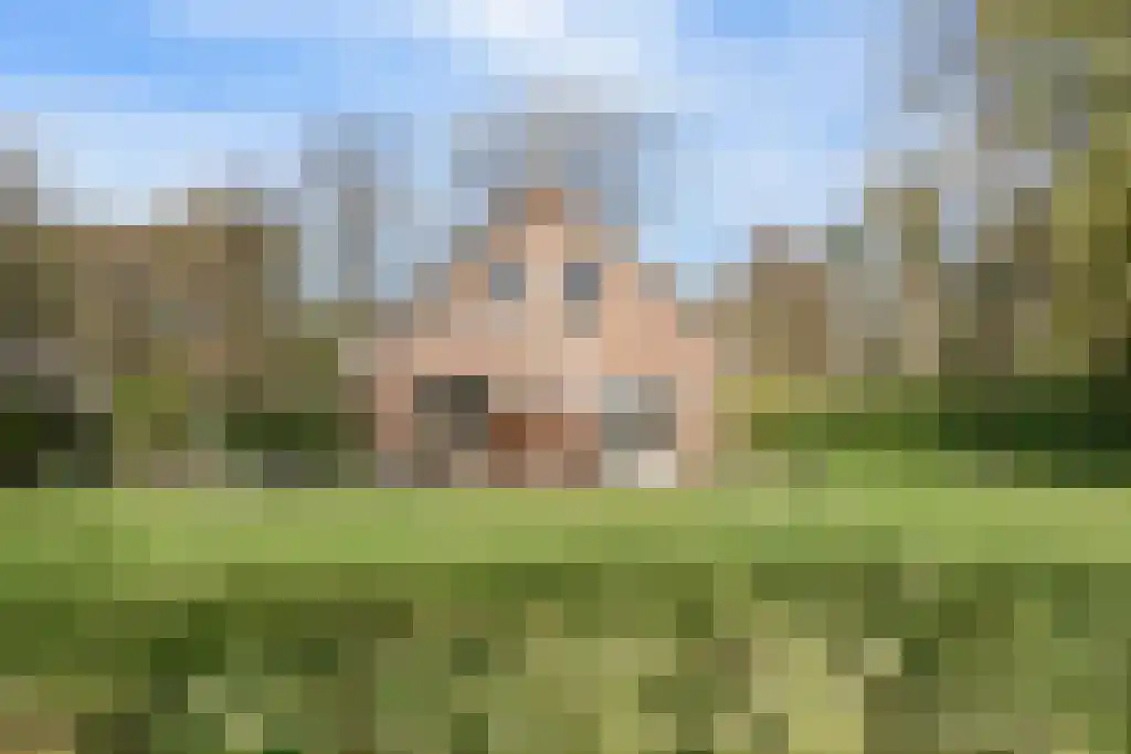 Soestdijkseweg Noord 496 Bilthoven thumbnail 65