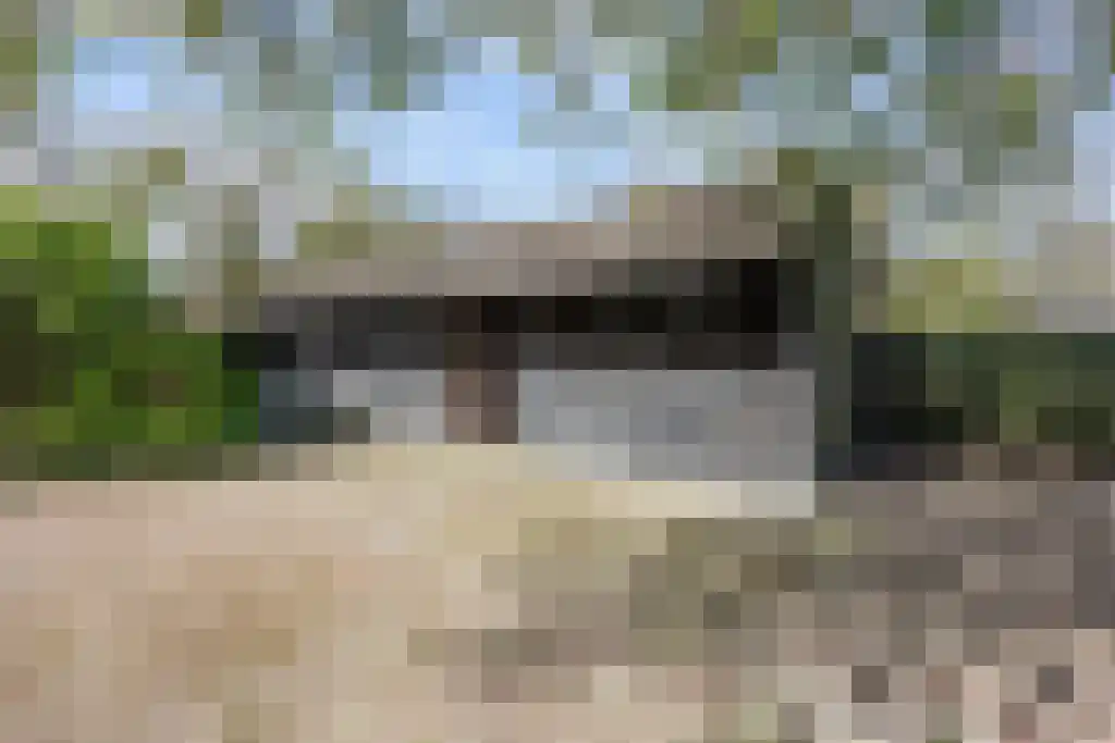 Soestdijkseweg Noord 496 Bilthoven thumbnail 67