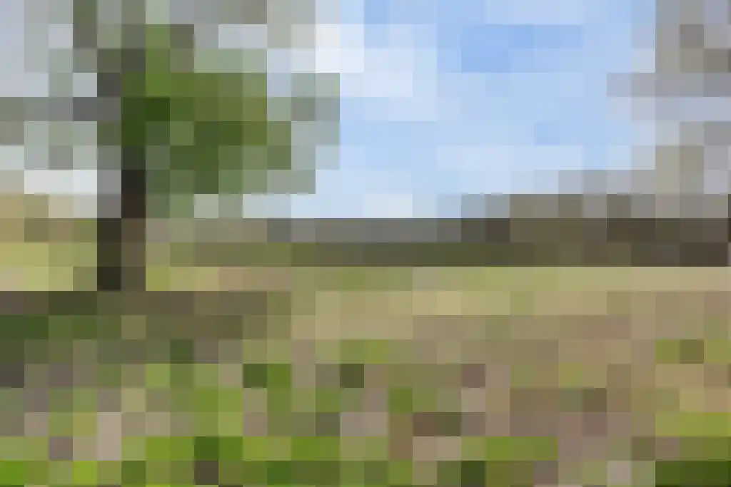 Soestdijkseweg Noord 496 Bilthoven thumbnail 7