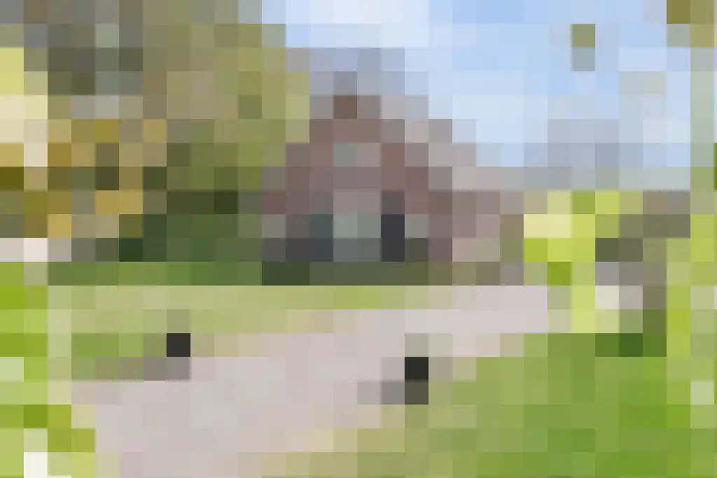 Soestdijkseweg Noord 496 Bilthoven thumbnail 77