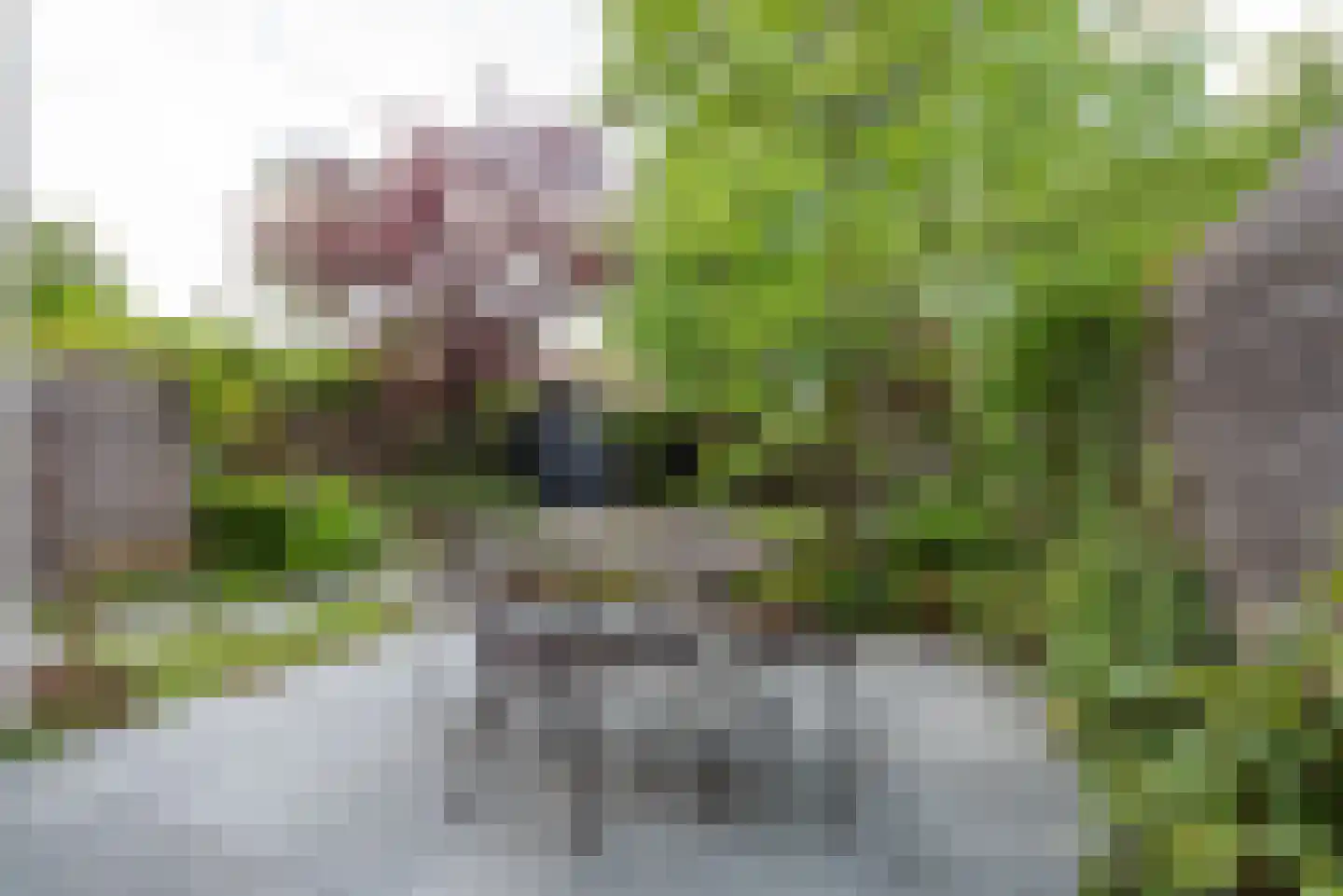 Soestdijkseweg Zuid 131 Bilthoven thumbnail 14
