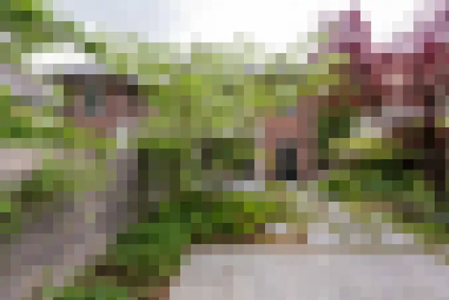 Soestdijkseweg Zuid 131 Bilthoven thumbnail 16
