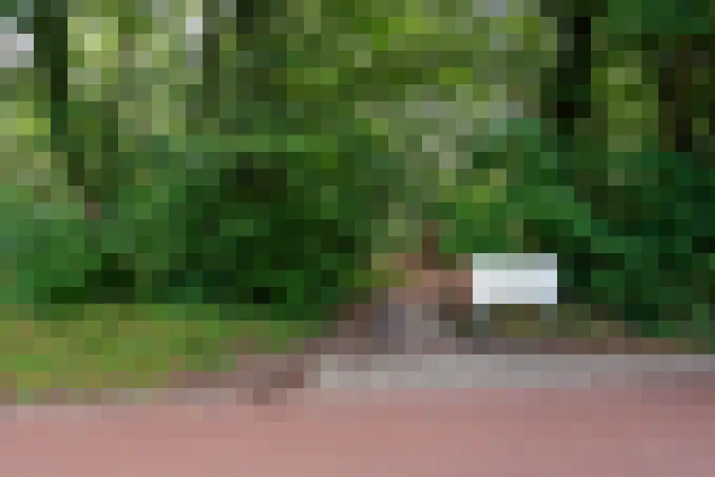 Soestdijkseweg Zuid 131 Bilthoven thumbnail 33