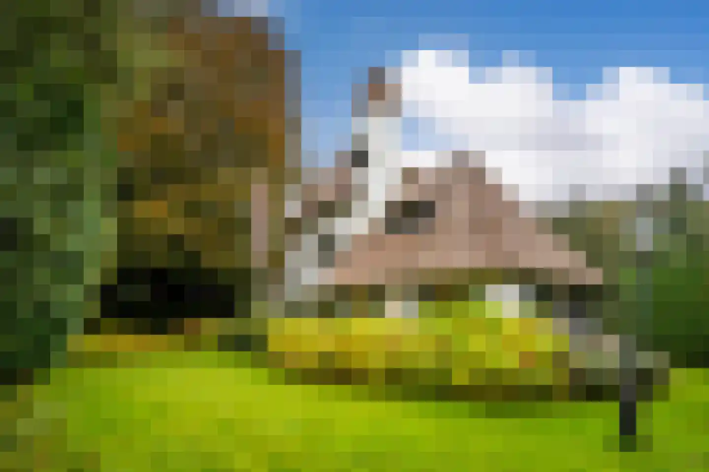 Soestdijkseweg Zuid 176 Bilthoven thumbnail 31