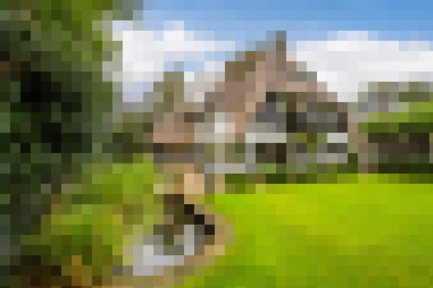 Soestdijkseweg Zuid 176 Bilthoven thumbnail 40