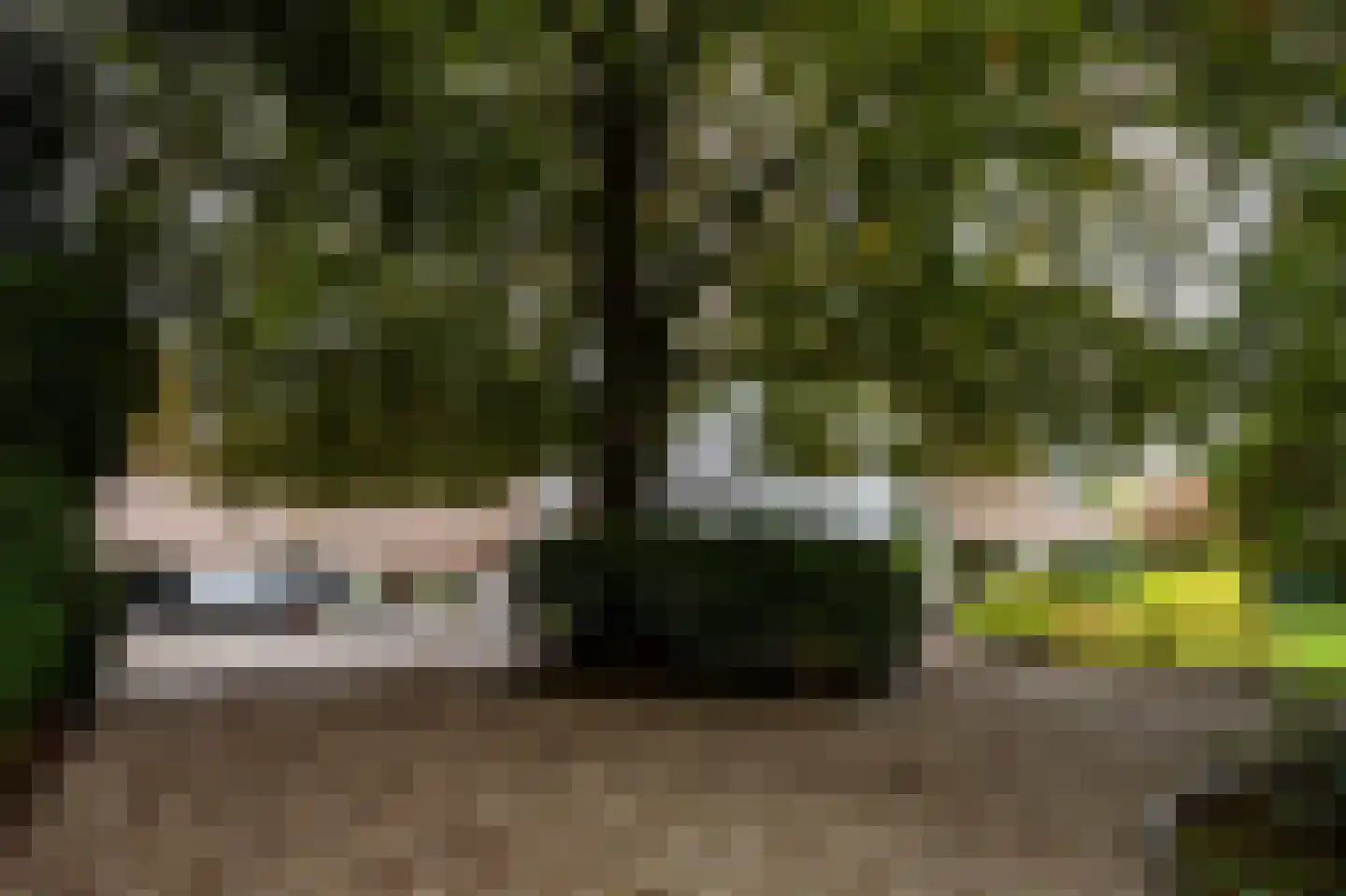 Soestdijkseweg Zuid 176 Bilthoven thumbnail 42