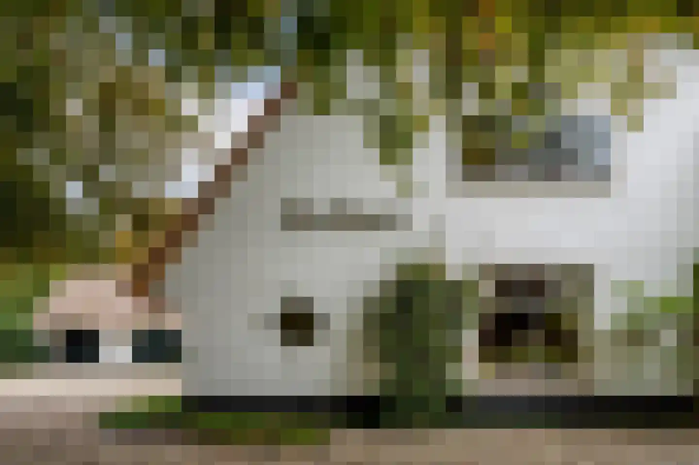 Soestdijkseweg Zuid 176 Bilthoven thumbnail 43