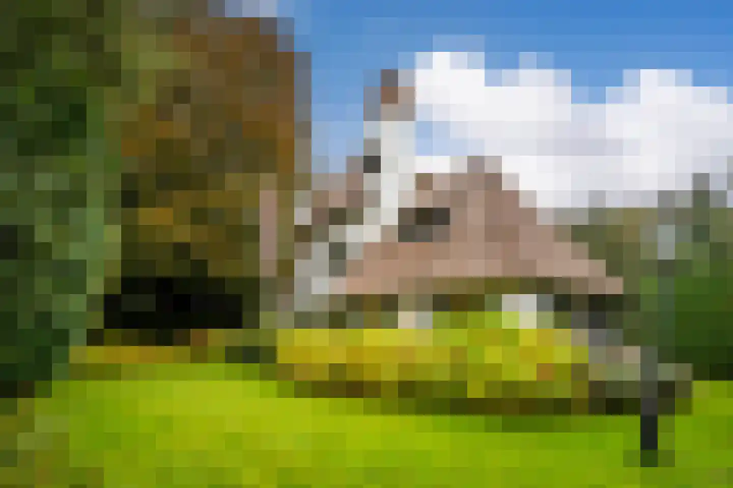 Soestdijkseweg Zuid 176 Bilthoven thumbnail 46