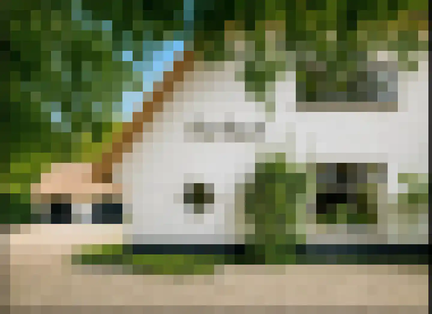 Soestdijkseweg Zuid 176 Bilthoven thumbnail 5