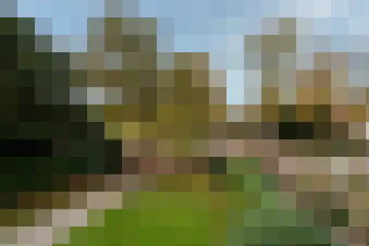 Soestdijkseweg Zuid 178 Bilthoven thumbnail 26