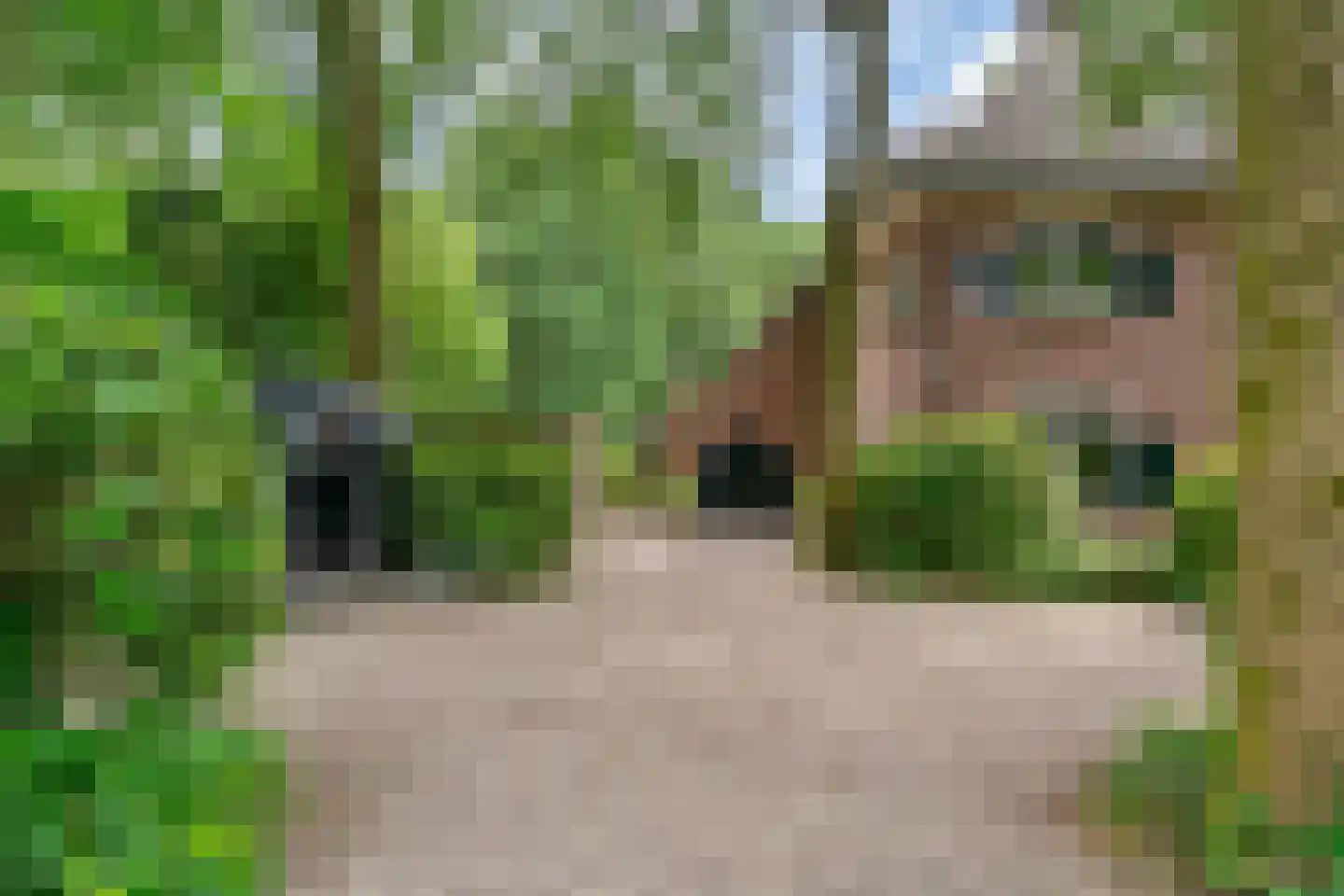 Soestdijkseweg Zuid 182 Bilthoven thumbnail 5