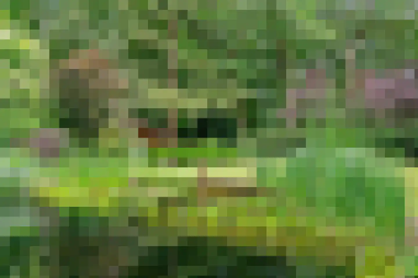 Soestdijkseweg Zuid 182 Bilthoven thumbnail 73