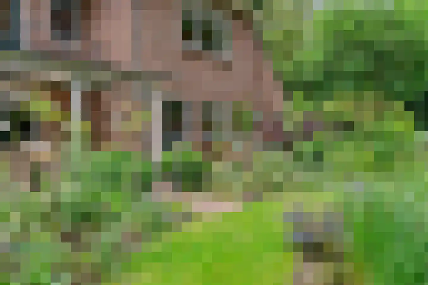 Soestdijkseweg Zuid 182 Bilthoven thumbnail 78