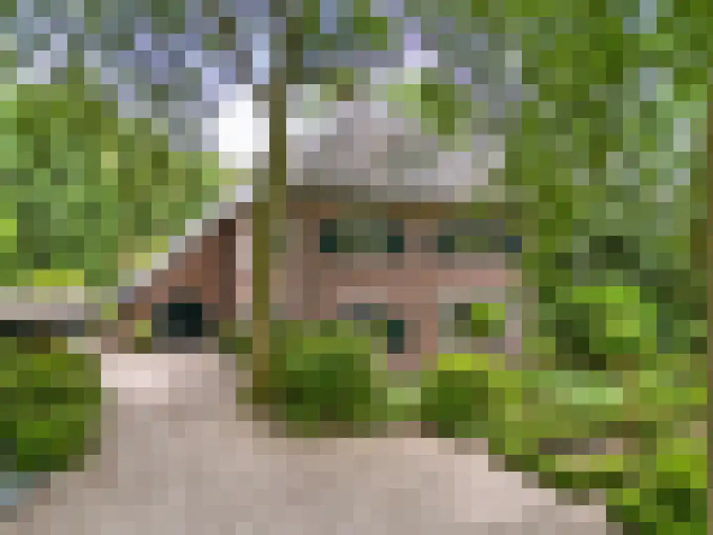 Soestdijkseweg Zuid 182 Bilthoven thumbnail 79