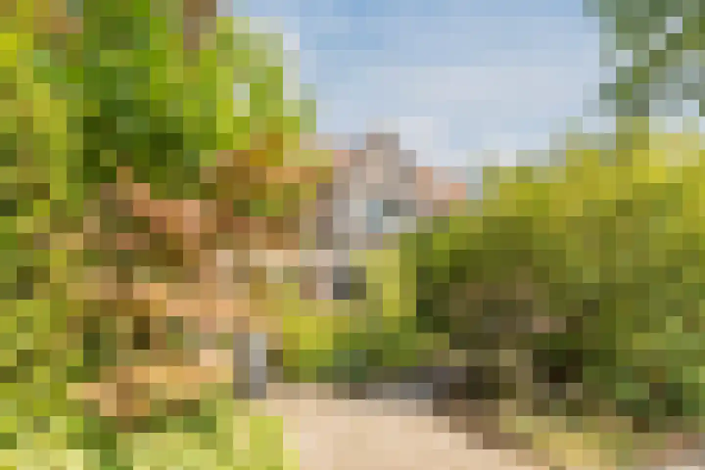 Soestdijkseweg Zuid 201 Bilthoven thumbnail 30